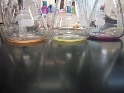 IMG_8783-09-09-18-02-10